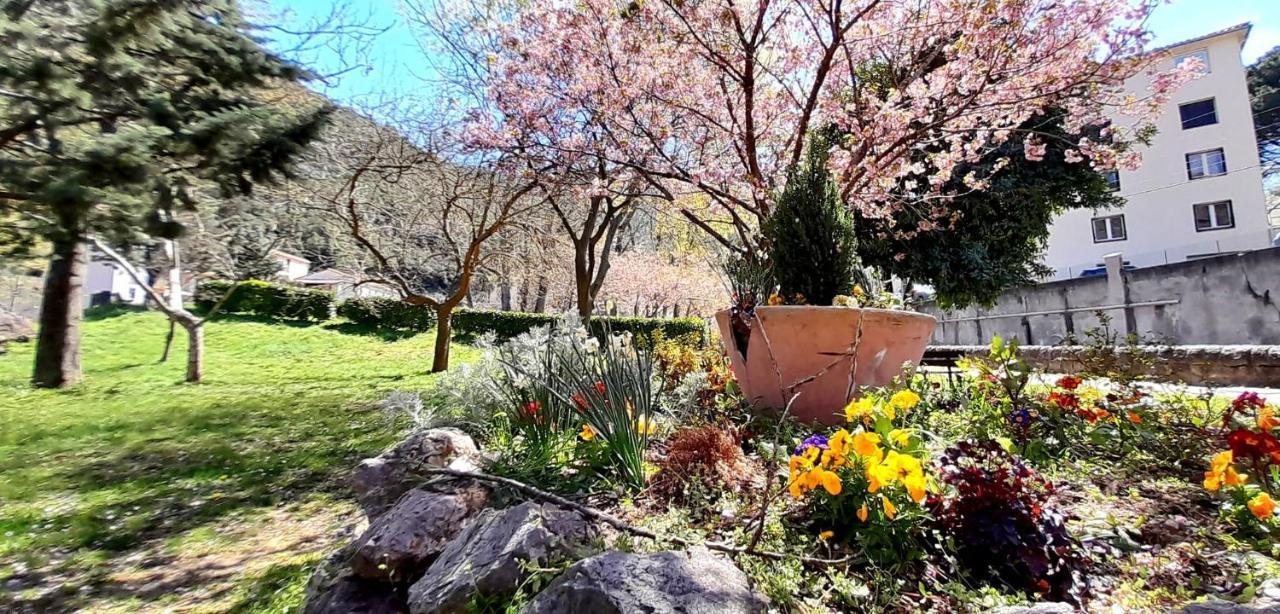 T2 Tout Confort Amélie-les-Bains-Palalda Extérieur photo