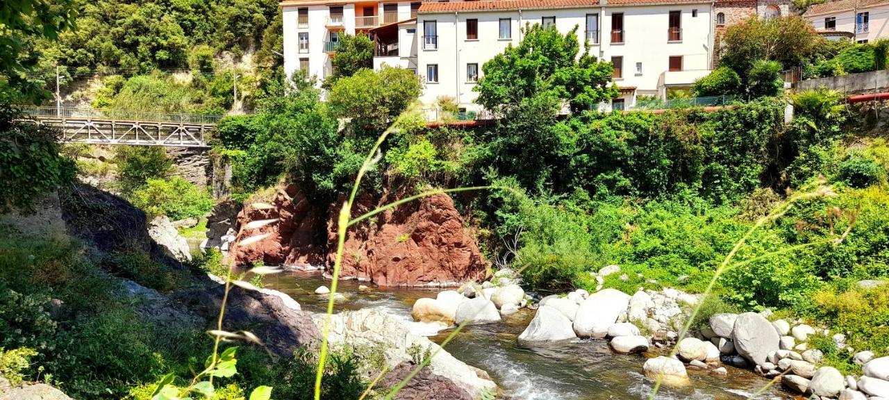 T2 Tout Confort Amélie-les-Bains-Palalda Extérieur photo